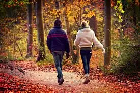 Kaart met gemarkeerd wandeltraject